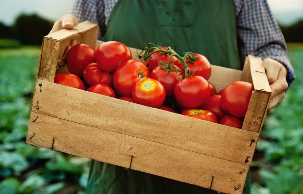 TOMATOES | Eat These Foods to Lower Blood Pressure