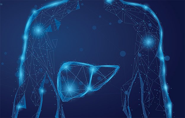 An illustration of a man and liver | How Does Intermittent Fasting Work?