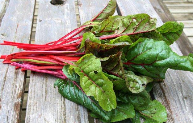 SWISS CHARD body