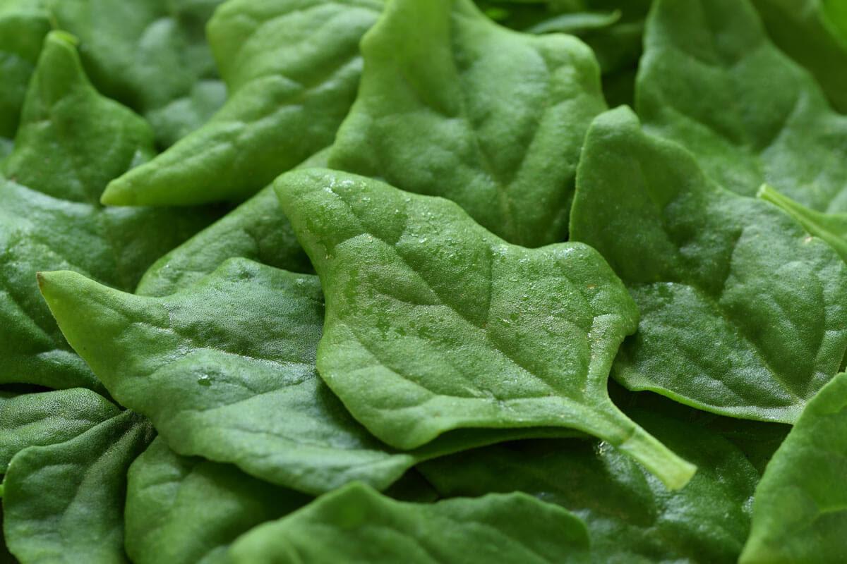 Are you Overdosing on Oxalates?