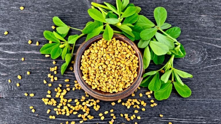 bowl of fenugreekss bean with leaf aside | Feature | Benefits of Fenugreek for Testosterone