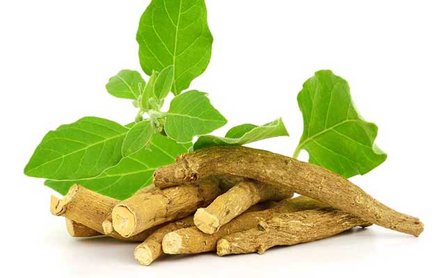 Ashwagandha-Dry-Root-Medicinal-Herb | 5 Natural PDE5 Inhibitors for ED