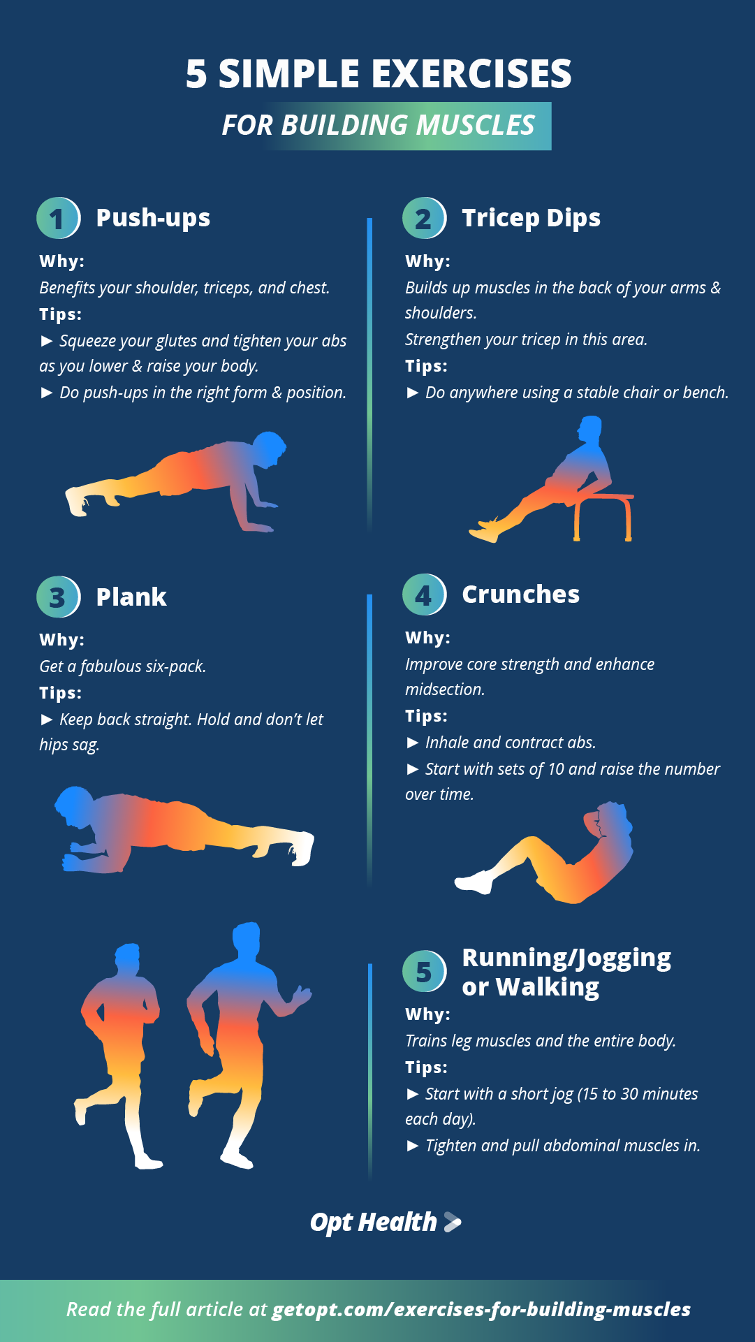 Infographic | OH_5_ _Simple_ _Exercises_ _for_ _Building_ _Muscles INFOG