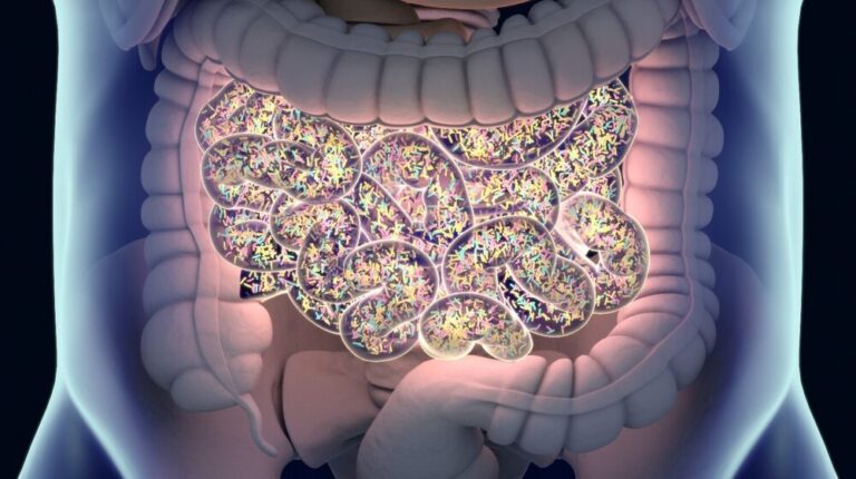 Gut microbiome in intestine_Feature_ss Intestinal microbiome 3D illustration_ss | Feature | Why Your Gut Microbiome Is Vital to Your Health