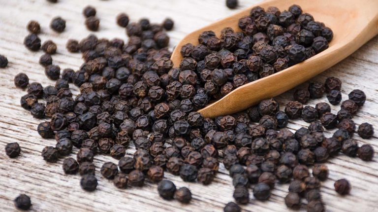 dry seeds of piper nigrum piperine_8 Health Benefits Of Bioperine | feature | MK-677 Benefits & Side Effects You Need to Know